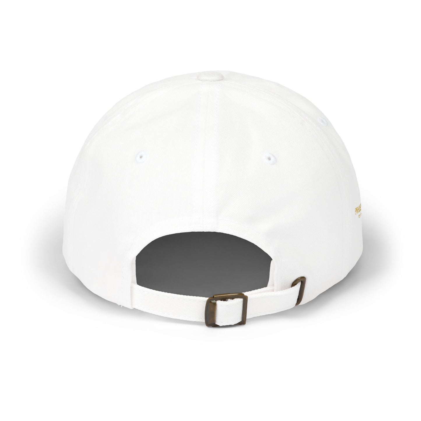 Pirate Anne Signature Embroidered Dad Cap – Front & Side Logo